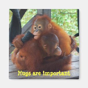 Inspiration från babyar: Kramar är viktiga Magnet