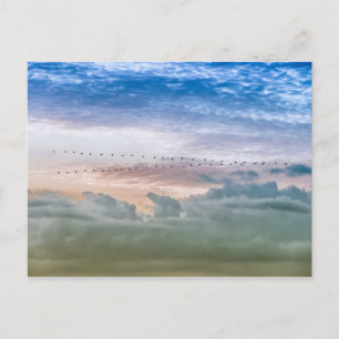 inspiration från flytta Forward Bird Migration Tea Vykort