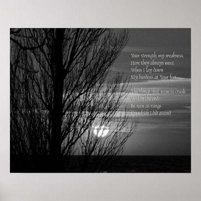 Inspiration från Silhouette Winter Träd Poster (Framsidan)