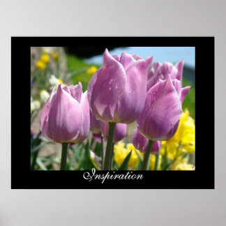Inspiration konsttryck Kontor Vår Tulpan Blommor Poster