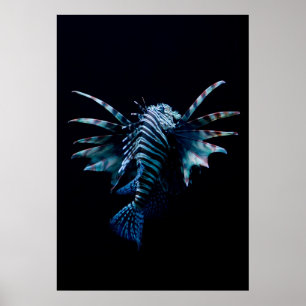Inspiration Poster