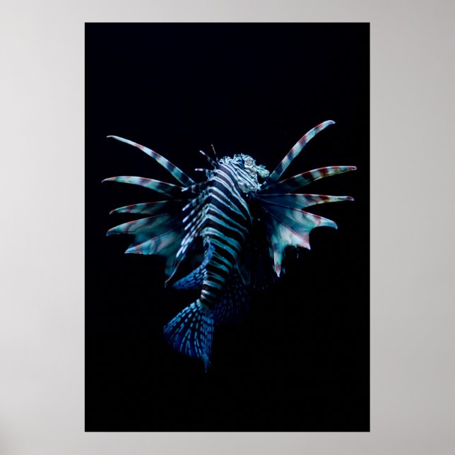 inspiration poster (Framsidan)