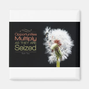 inspiration Sol Tzu Magnet