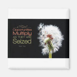 inspiration | Sol Tzu Magnet