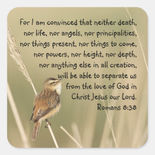 Inspirational Bible Scripture Quote Romans 8:38 Fyrkantigt Klistermärke