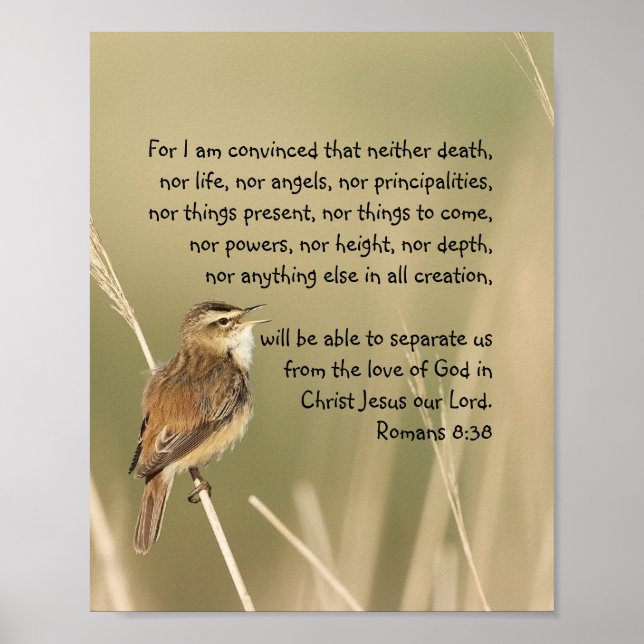 Inspirational Bible Scripture Romans 8:38 Poster (Framsidan)