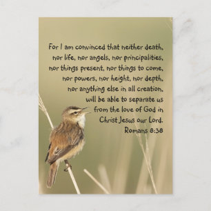 Inspirational Bible Scripture Romans 8:38 Vykort