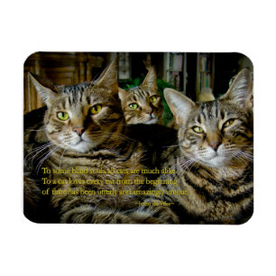 Inspirational Cat Magnet - Alla katter är unika
