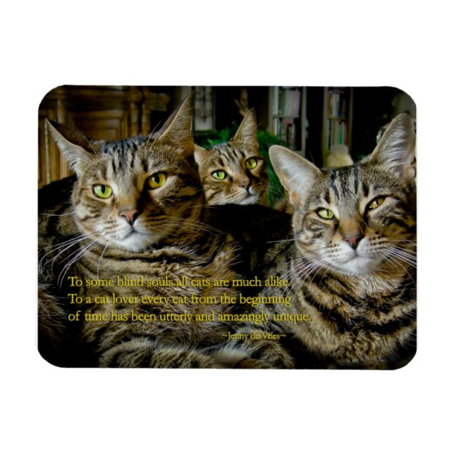 Inspirational Cat Magnet - Alla katter är unika (Horisontell)