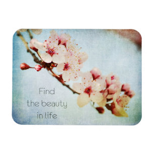 Inspirational Cherry Blommar Träd Find Beauty Magnet