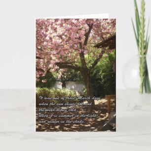 Inspirational Cherry Träd i Bloom Kort