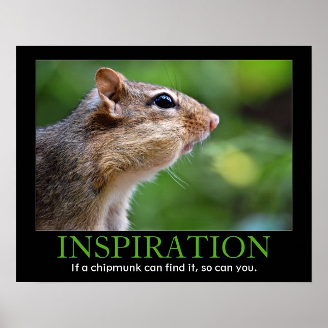 Inspirational Chipmunk Poster (Framsidan)