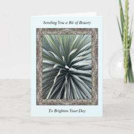 Inspirational Get well Card med en häftig Yucca Kort