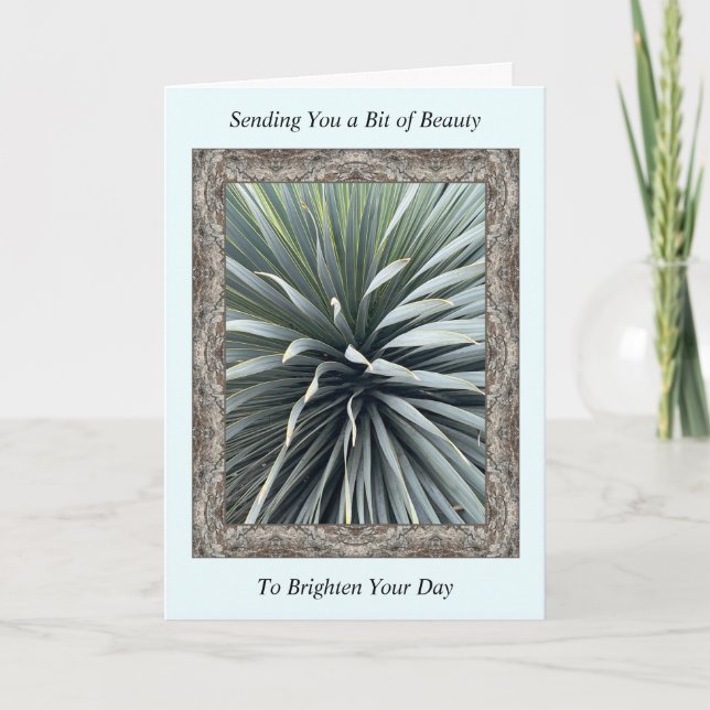Inspirational Get well Card med en häftig Yucca Kort (Framsida)