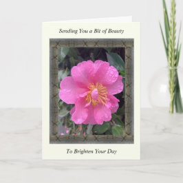 Inspirational Get well Card med Rosa Camellia Kort