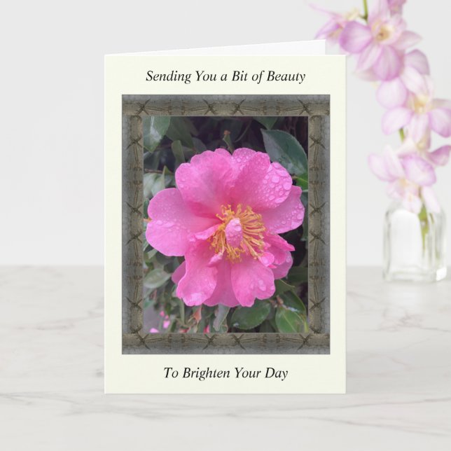 Inspirational Get well Card med Rosa Camellia Kort (Orkide)