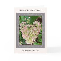 Inspirational Get-well Card med Rosa Hydrangea