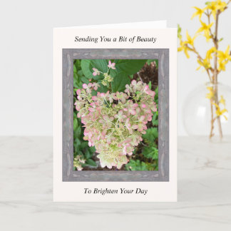 Inspirational Get-well Card med Rosa Hydrangea Kort