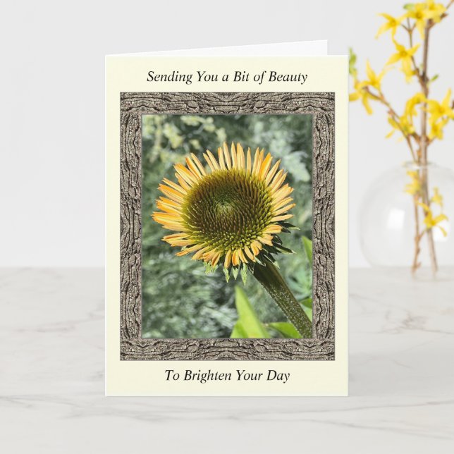 Inspirational Get well Card med Young Solros Kort (Gul blomma)