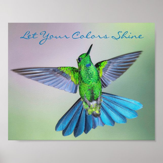 Inspirational Hummingbird Grönt och Blue Poster (Framsidan)