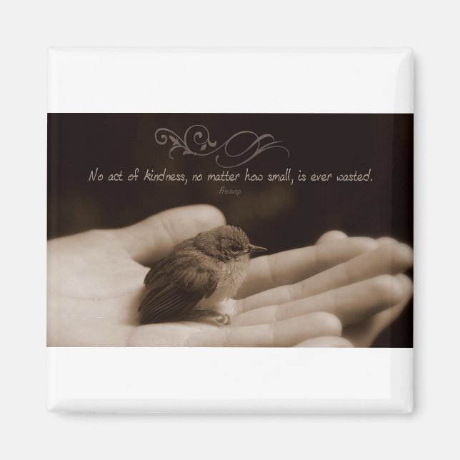 Inspirational Kindness Quote från Aesop Magnet (Framsidan)