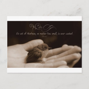 Inspirational Kindness Quote från Aesop Vykort