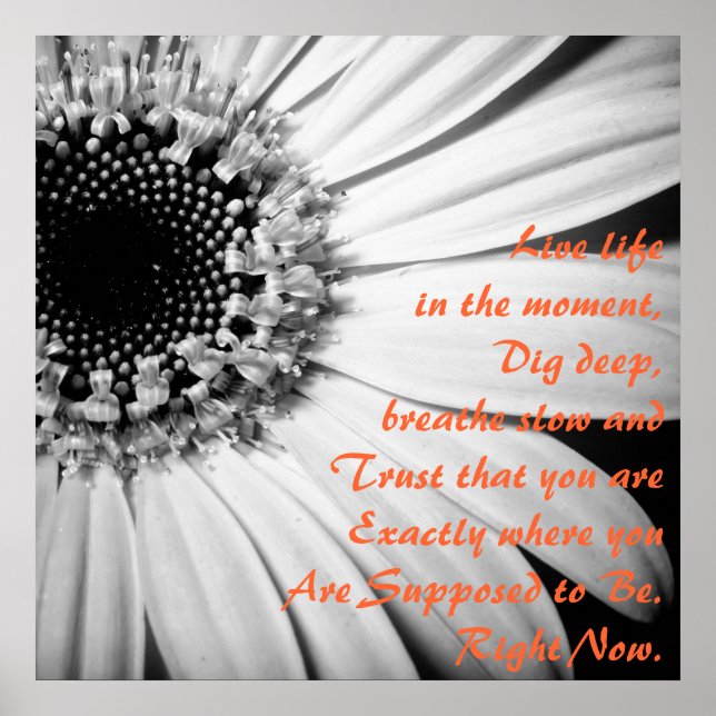 Inspirational Live Life in the Moment Poster (Framsidan)