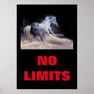 Inspirational No Limse Horse Motivational Poster