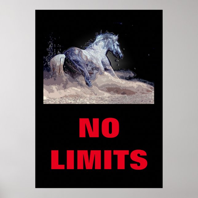 Inspirational No Limse Horse Motivational Poster (Framsidan)