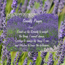 Inspirational Serenity Prayer Lavender Garden