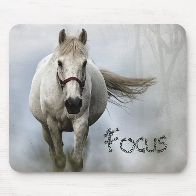 Inspirational White Horse Musmatta (Framsidan)