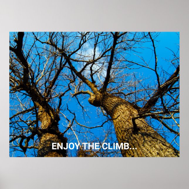 INSPIRATIONELL NATURPHOTOKONT POSTER (Framsidan)