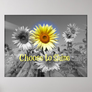 Inspirationellt välja att visa citat med solros poster