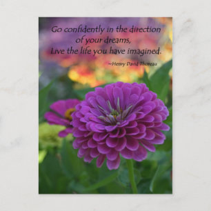 Inspirations vykort bulkrabatt Zinnia