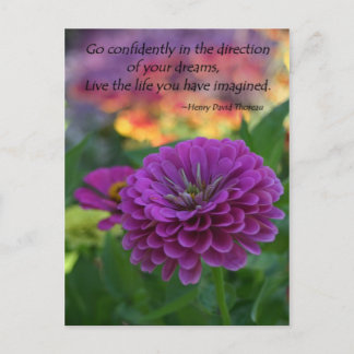 Inspirations vykort bulkrabatt Zinnia