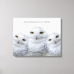 Inspirationsoffert Dreamy Wisdom of Snowy Uggla Canvastryck