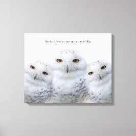 Inspirationsoffert Dreamy Wisdom of Snowy Uggla Canvastryck
