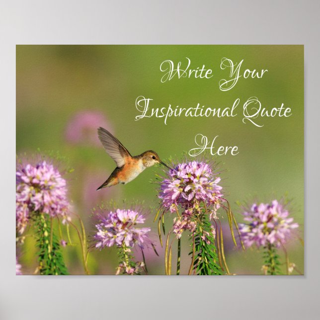 Inspirationsoffert Hummingbird och Wildblommor Poster (Framsidan)