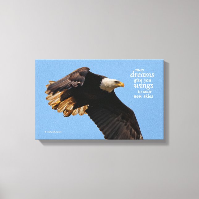 Inspirationsoffert Örn under flygning Canvastryck (Framsida)