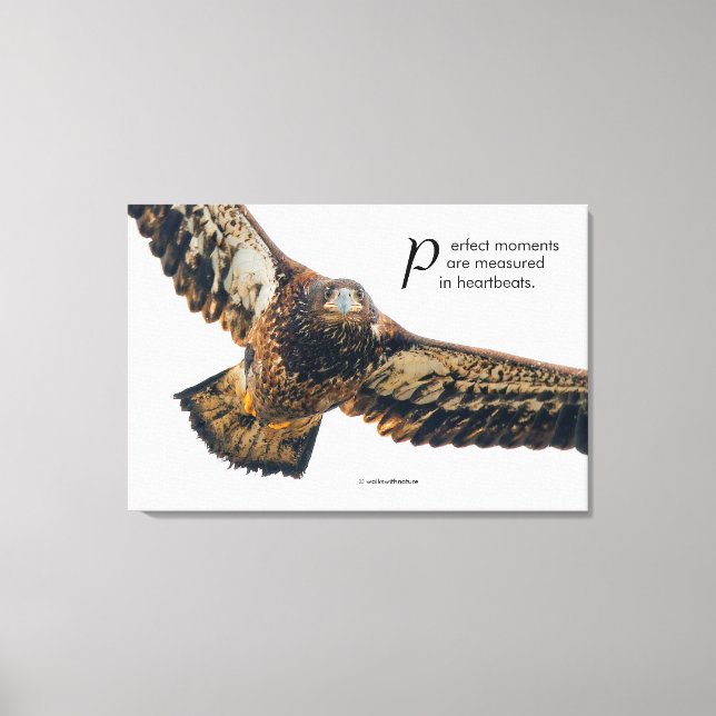Inspirationsoffert Örn under flygning Canvastryck (Framsida)
