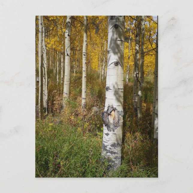 Inspirationsporten Vykort (Framsida)