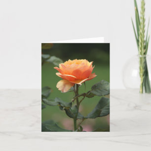 inspirationspunkt ro-notecard kort