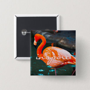 Inspire Script Rosa Flamingo Photo Modern Snyggt Knapp