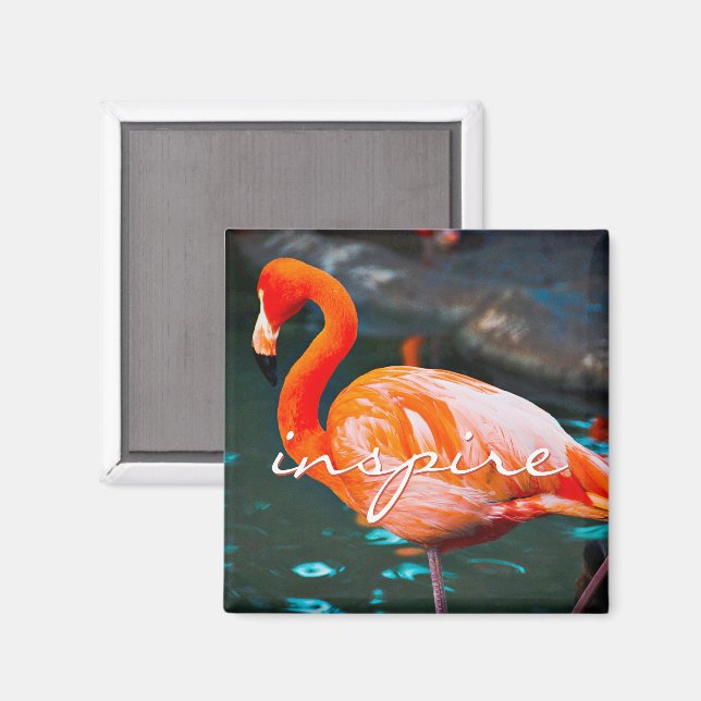 Inspire Script Rosa Flamingo Photo Modern Snyggt Magnet (Front/Back)