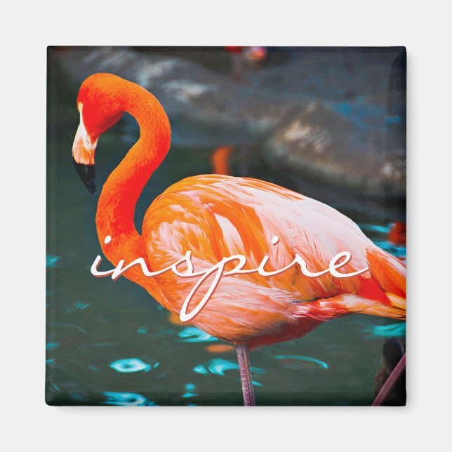 Inspire Script Rosa Flamingo Photo Modern Snyggt Magnet (Framsidan)
