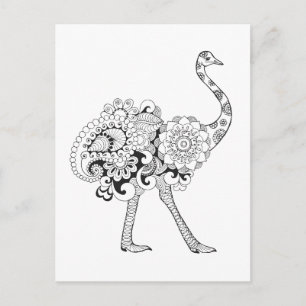 Inspired Ostrich Vykort