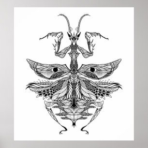 Inspired Praying Mantis 2 Poster