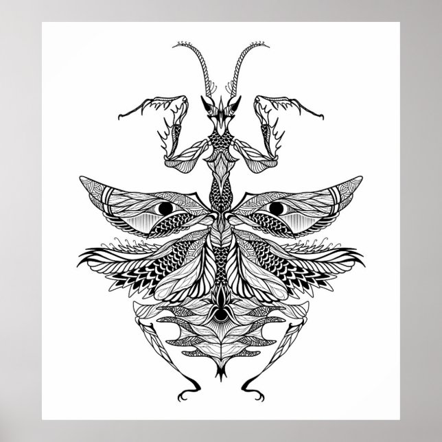 Inspired Praying Mantis 2 Poster (Framsidan)