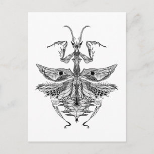 Inspired Praying Mantis Vykort
