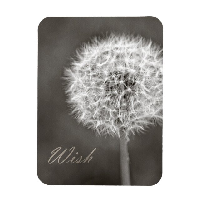 Inspired Wish Dandelion Magnet (Vertikal)